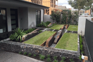 cycas landscape design frontyard