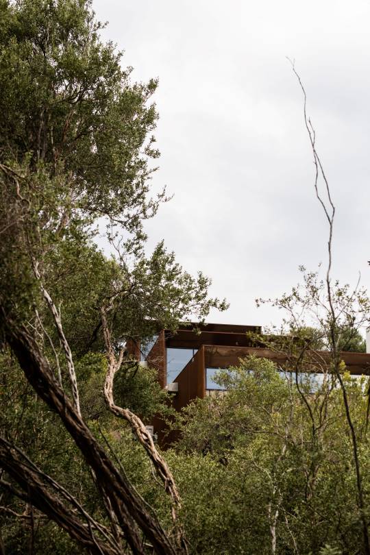 Holt_Construction_Group Nature Melbourne